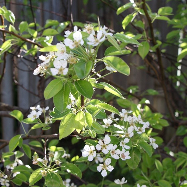 Week 3 Photography Assignment Shutter Shot DMA204DA (x-post Instagram) 