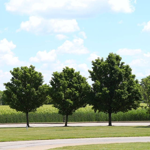 10570225_804242619608774_194878641_n